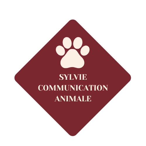 Sylvie Kestenberg Communication Animale